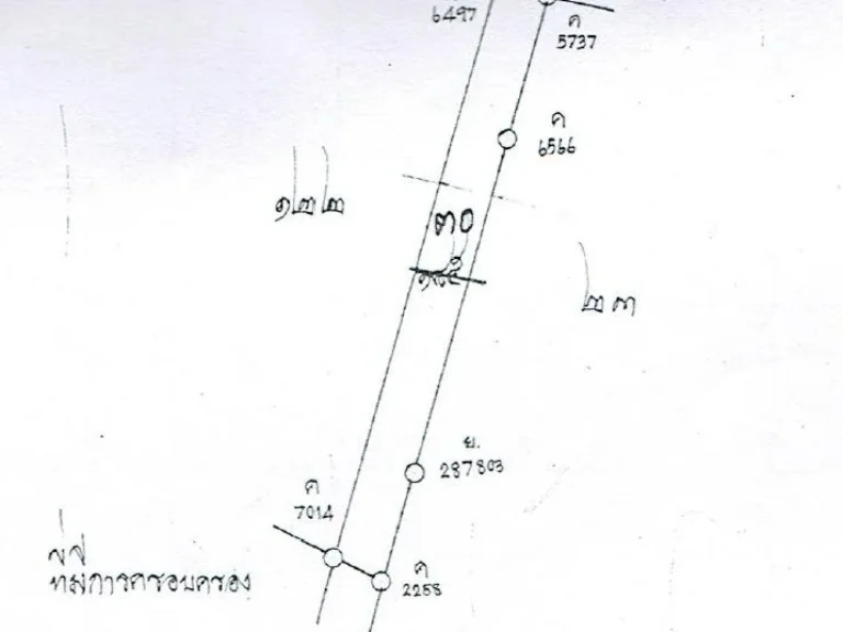 ขายที่ดินในเขตชุมชนหมู่บ้าน ใกล้ตัวเมือง ขายถูกเลยค่ะ