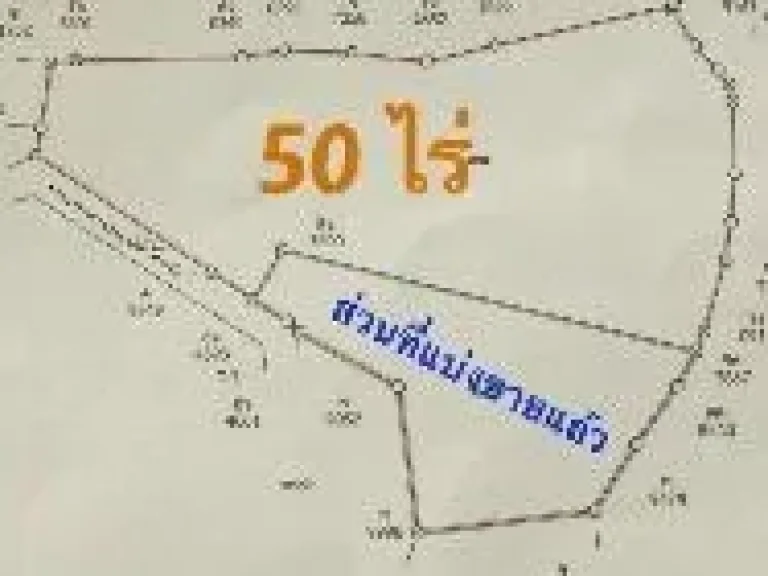 ขายที่ดิน 50 ไร่ ปราจีน ราคาไร่ละ สองแสนสองหมื่นบาท โคกปีบ ปราจีนบุรี