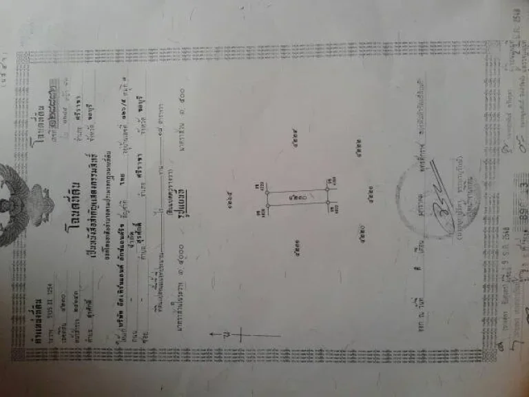 ขาย ทฮอีสเทิรน์แลนด์ 3 ราคาถูก พร้อมอยู่