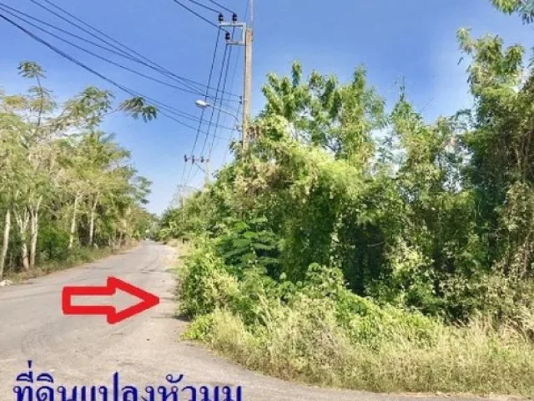 ขายถูกมาก ที่ดิน ทำเกษตร 60 ไร่ คลองสิบ เขตหนองจอก