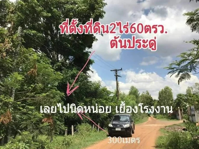 ขายที่ดินเปล่า โซนบุ่งหวายวาริน