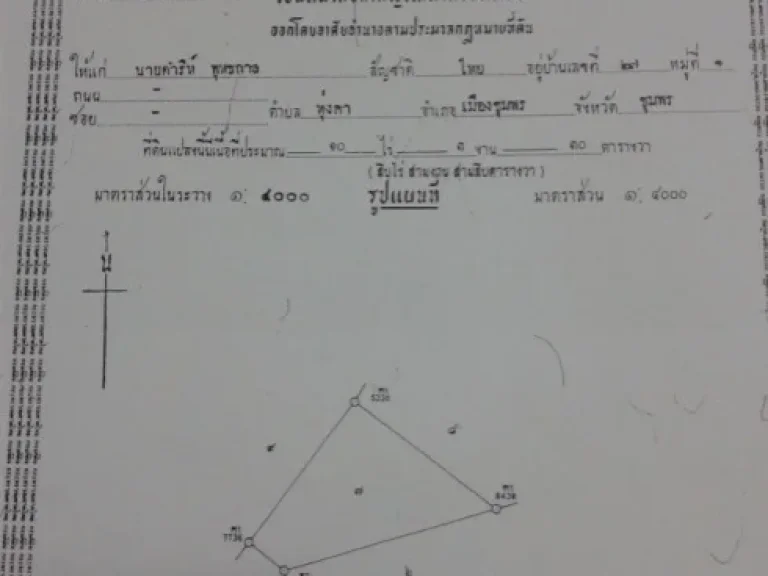 ขายที่ดินสวนปาล์ม ด่วน