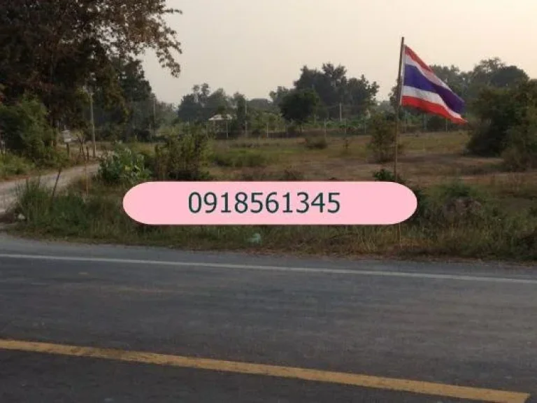 ขายที่ดินทำเกษตรผสม 56 ไร่ มีสวนผสม บ่อน้ำ แถมวัวให้อีก 50 กว่าตัว จสุพรรณบุรี ขายถูก