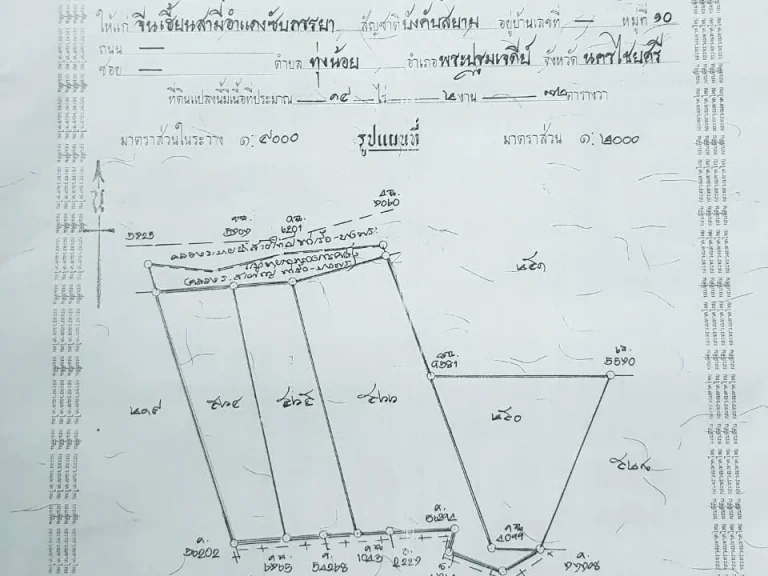 ขายที่ อเมือง 3ไร่ 3งาน 16ตารางวา ราคาถูกๆ