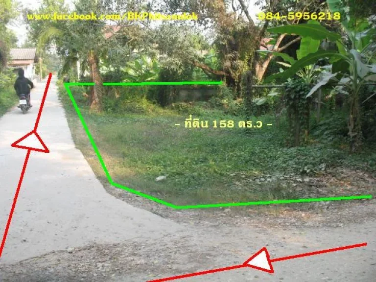 ขายที่ดิน 158 ตรว หลังชลประทานพิษณุโลก