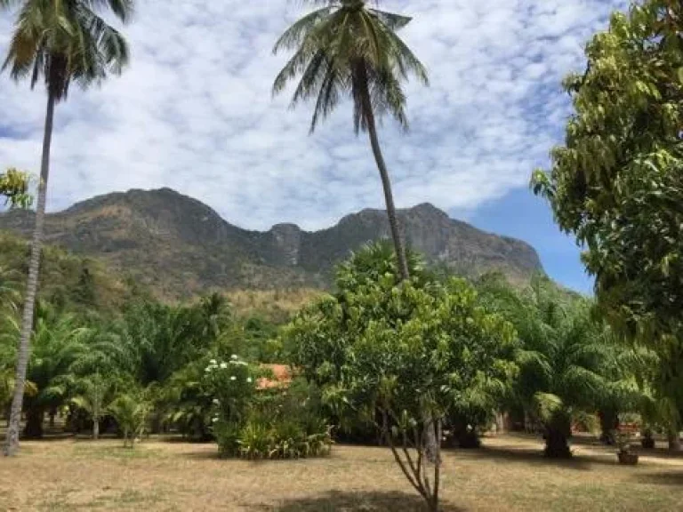 ขายที่ดิน 3 ไร่ มีโฉนด ติดเขาสามร้อยยอด วิวสวยมากๆ Land for Sale Land near the samroiyod mountain