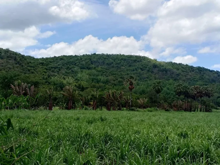 ที่ดินโฉนดติดถนน 333 25ไร่เศษ 380000บไร่