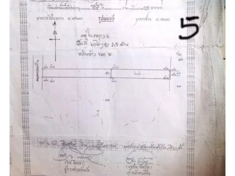 ขายที่ดิน คลอง6 แปลงสวย