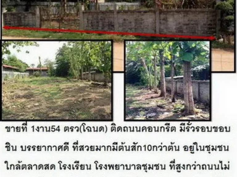 ขายที่ 1งาน54 ตรวโฉนดใกล้ๆตัวเมืองเพชรบูรณ์