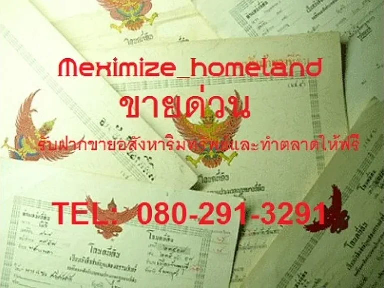 ขายอาคารพาณิชย์ ติดถนนโชคชัย 4หัวมุมแยกสตรีวิทยา2 สนใจโทร 080-291-3291