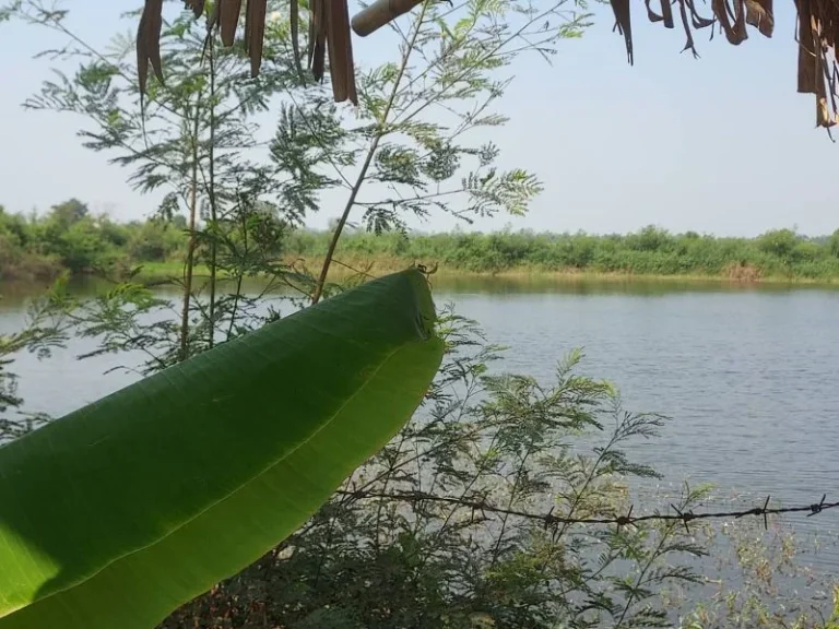 ที่ดินสวยถูกแปลงสุดท้าย1697ตรว หลังติดริมน้ำ หน้าติดถนน ขาย