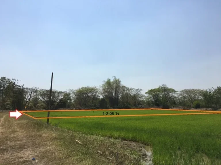 ขายที่ดิน ติดถนน และที่ดินจัดสรรเกษตร ลำพูน ถนนลำพูน-ป่าซาง 106 แยกสถานีตำรวจต้นธง ใกล้ชุมชน