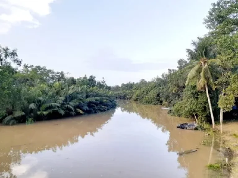 ขายบ้าน พร้อมที่ดินขนาด 5 ไร่ อำเภอเมืองชุมพร จังหวัดชุมพร