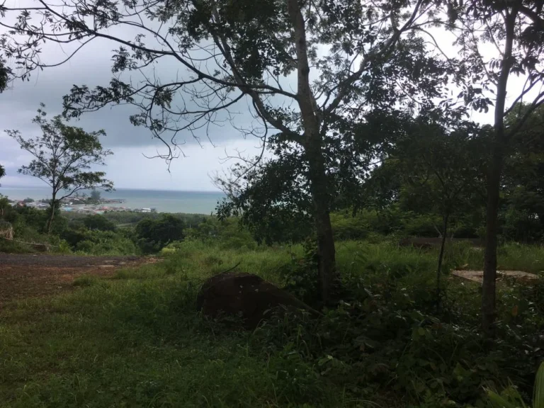 ขายที่ดินติดถนนสุขุมวิท ด้านหน้าวิวทะเล ด้านหลังเป็นภูเขา