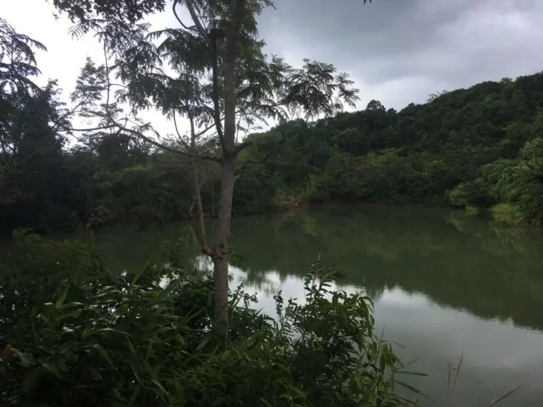 ขายที่ดินติดถนนสุขุมวิท ด้านหน้าวิวทะเล ด้านหลังเป็นภูเขา