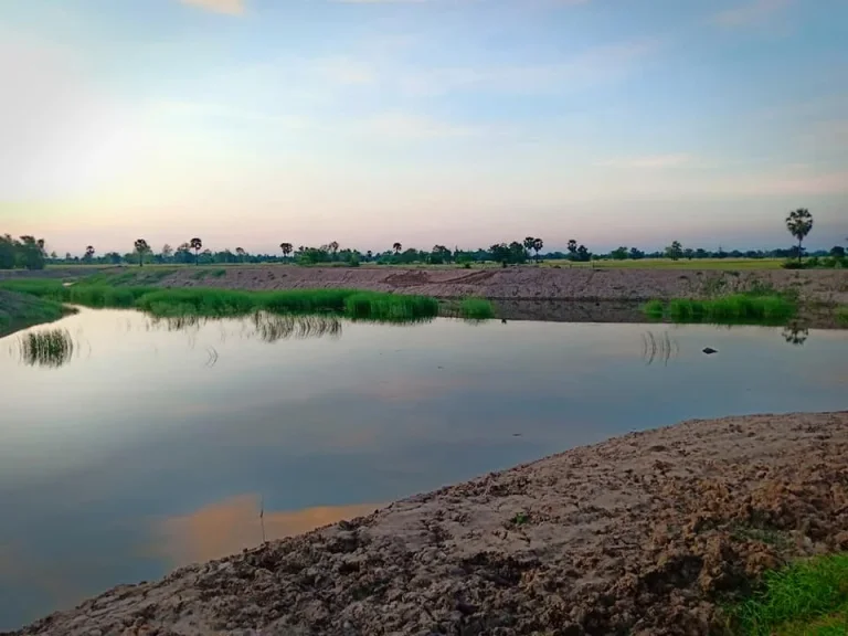 ขายที่ดินติดแหล่งน้ำขนาดใหญ่อากาศดี อยู่ใน อำเภอเมืองโคราช