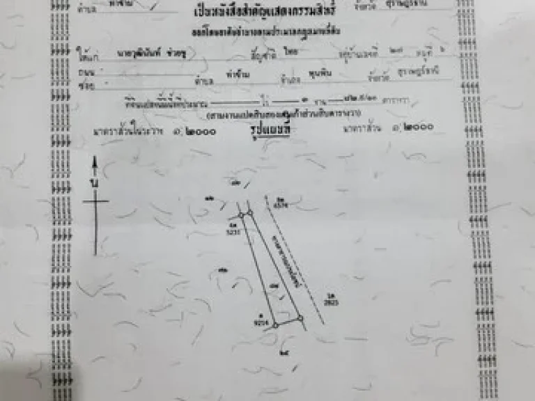 ขายที่ดิน 4-3-17 ไร่ บ้านท่าตะเภา ตท่าข้าม อ พุนพิน สุราษฎร์ธานี 15 นาทีจากสถานีรถไปสุราษฎร์