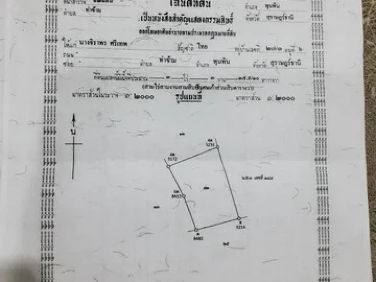 ขายที่ดิน 4-3-17 ไร่ บ้านท่าตะเภา ตท่าข้าม อ พุนพิน สุราษฎร์ธานี 15 นาทีจากสถานีรถไปสุราษฎร์