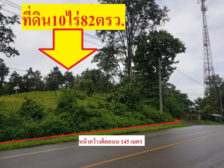 ขายที่ดิน10ไร่82ตรวติดถนน1095เชียงใหม่-ปายอแม่แตง จเชียงใหม่ หน้ากว้างติดถนน145เมตร อากาศดีอยู่บนเนินเขา เหมาะปลูกบ้านพัก รีสอร์ท ร้านอาหาร 