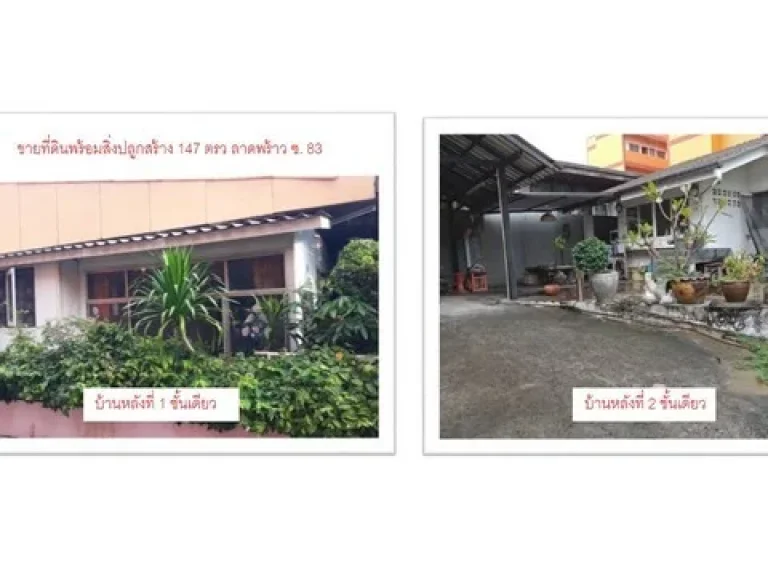 ขายที่ดินพร้อมบ้านเดี่ยวชั้นเดียว 2 หลัง ซลาดพร้าว 83 เนื้อที่ 147 ตรว 5 นอน 3 น้ำ