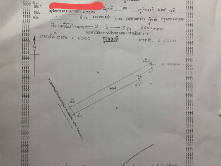 ขายที่ดินเปล่าติดถนนปทุมธานี-สามโคก-เสนา 4เลน เนื้อที่ 8ไร่ครึ่ง ไร่ละ 32ล้านบาท