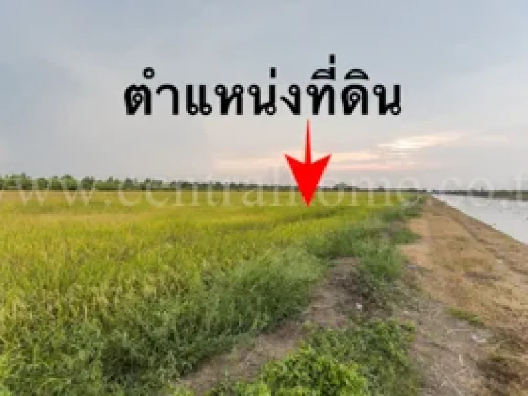 ที่ดิน 2 ไร่ หนองเสือ คลอง 9 1