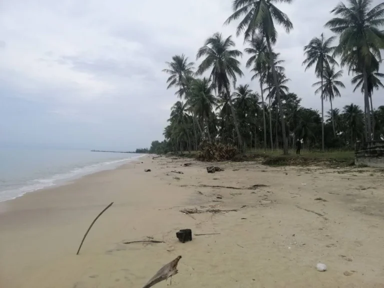 ขายที่ดินติดชายหาดทะเลกลาย ท่าศาลา จังหวัดนครศรีธรรมราช เนื้อที่ 9ไร่เศษไร่ละ3ล้านบาท