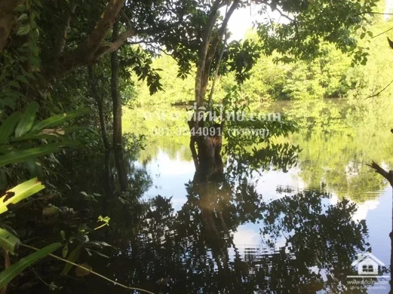 ขายที่ดินติดคลอง-ท่าใหม่ จันทบุรี โฉนด 4-0-47ไร่ ตตะกาดเง้า อท่าใหม่ จจันทบุรี รหัส L306