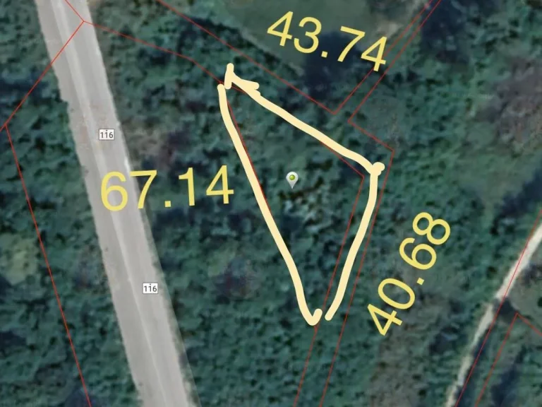 ขายที่ดินติดถนนใหญ่ ลำพูน-สันป่าตองทางหลวง 116 เนื้อที่ 241 ตารางวา
