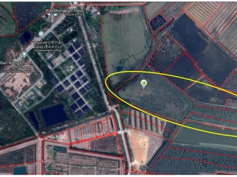 ขายที่ดิน 28-1-94 ไร่ ติดถนนทางหลวงเทศบาล 2 ด้าน ตปากน้ำ อบางคล้า จฉะเชิงเทรา