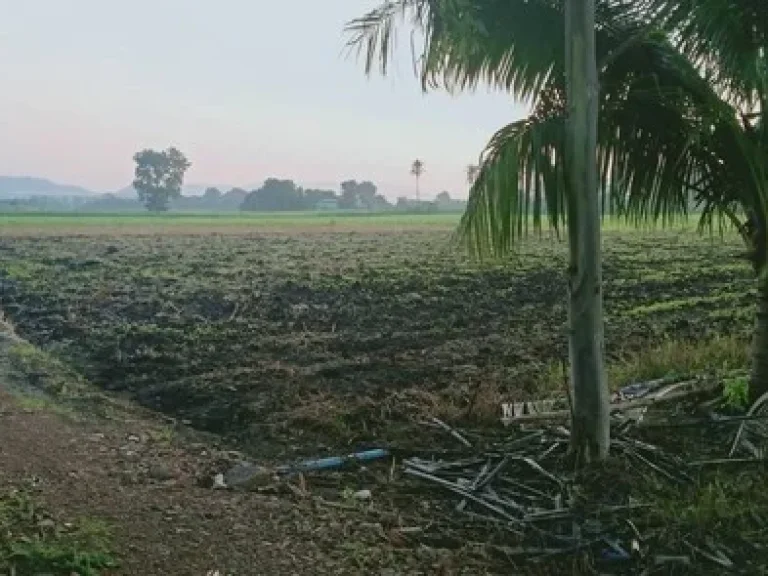 ขาย ที่ดิน 3-1-60 ไร่ ตนายาว อพระพุทธบาท จสระบุรี ที่ดินสวย ทำเลดี