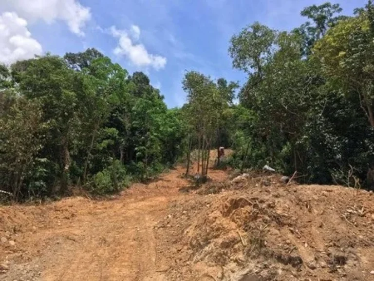 ขายที่ดิน มองเห็นวิวทะเลสาปสงขลา 180 องศา ติดถนนบ้านสวนใหม่ เกาะยอ สงขลา