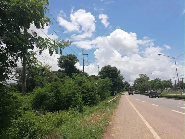 ขายที่ติดถนนหนองคาย-โพนพิสัย