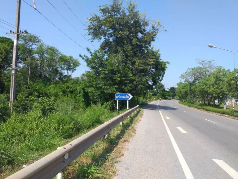 ขายที่ติดถนนหนองคาย-โพนพิสัย