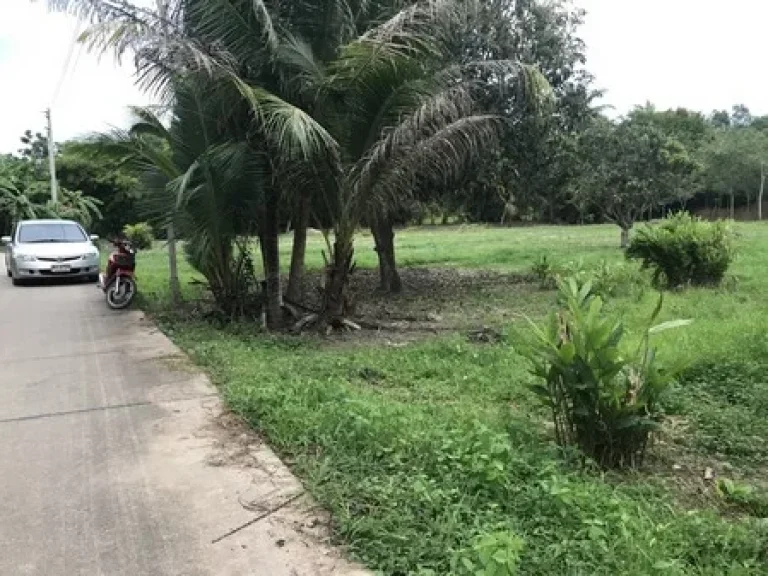 ขายที่ดินสวย บ้านหนองกบ ตำบลตะพง จังหวัดระยอง มีเนื้อที่ 4 ไร่ 3 งาน 98 ตรว