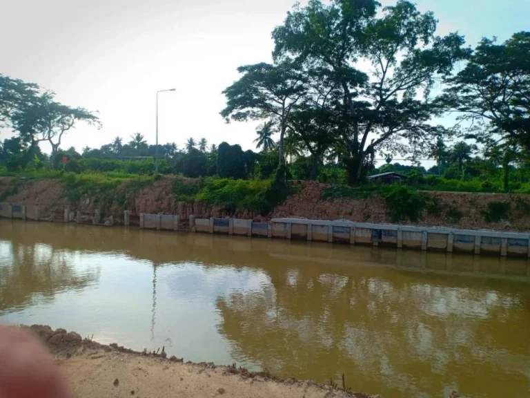 ขายที่ดินสวนมะนาว อำเภอท่ายาง จังหวัดเพชรบุรี