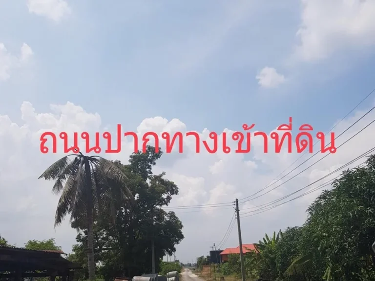 ขายที่ดินลำลูกกา คลอง5 ตบึงคำพร้อย อลำลูกกา จปทุมธานี