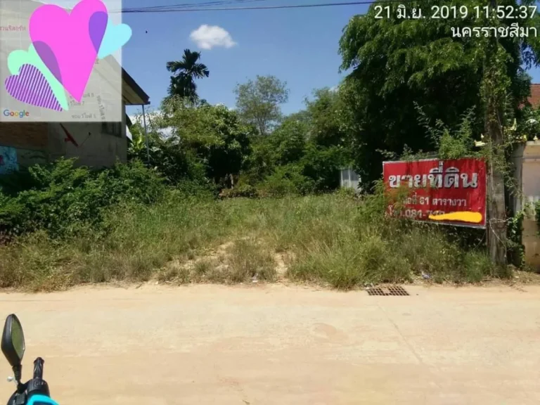 ขายที่ดิน 61 ตรว ตหนองกระทุ่ม อเมือง จนม