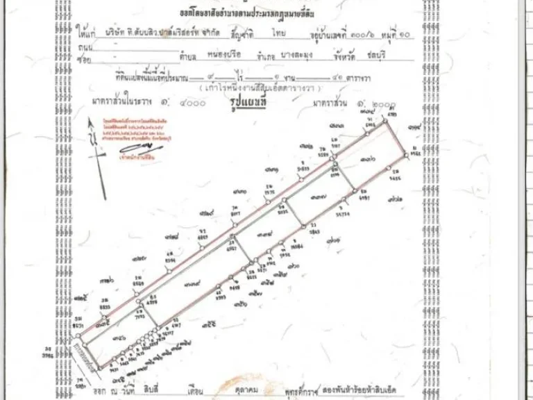 ขายเลยวันนี้ถูกสุดๆ ที่ดิน 9-1-41 ไร่ ติดทะเล ถเลียบหาดจอมเทียน ติดกับร้านปูเป็นและร้านลุงไสว