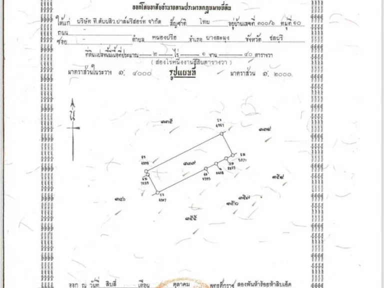 ขายเลยวันนี้ถูกสุดๆ ที่ดิน 9-1-41 ไร่ ติดทะเล ถเลียบหาดจอมเทียน ติดกับร้านปูเป็นและร้านลุงไสว