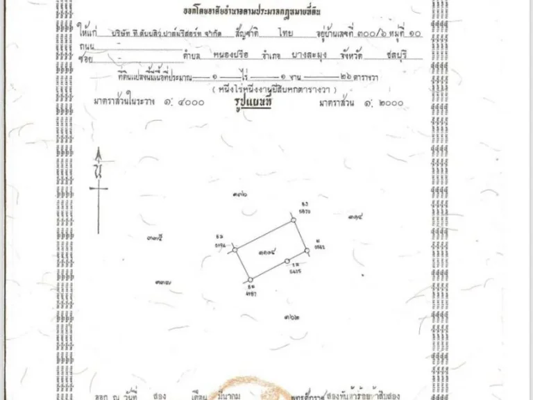 ขายเลยวันนี้ถูกสุดๆ ที่ดิน 9-1-41 ไร่ ติดทะเล ถเลียบหาดจอมเทียน ติดกับร้านปูเป็นและร้านลุงไสว