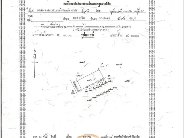 ขายเลยวันนี้ถูกสุดๆ ที่ดิน 9-1-41 ไร่ ติดทะเล ถเลียบหาดจอมเทียน ติดกับร้านปูเป็นและร้านลุงไสว