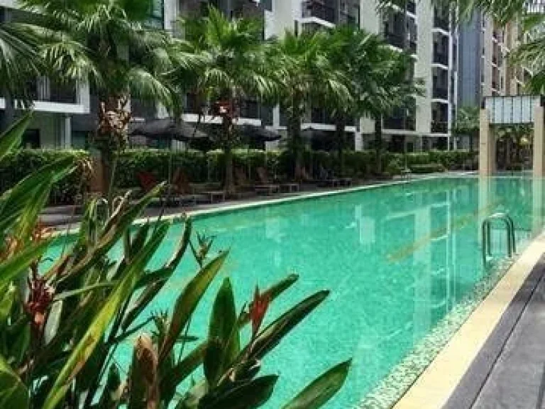 ด่วนให้เช่า I condo สุขุมวิท 105 ใกล้BTSแบริ่ง 31 ตรม 7500บาท พร้อมเข้าอยู่