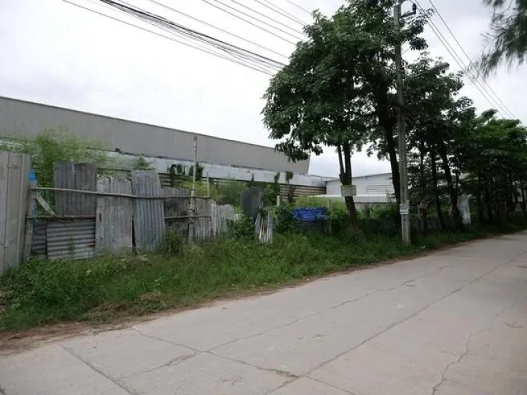 Land For Rent ที่ดิน 1 ไร่ ซอยโพธิ์แก้ว 3 แยก 9