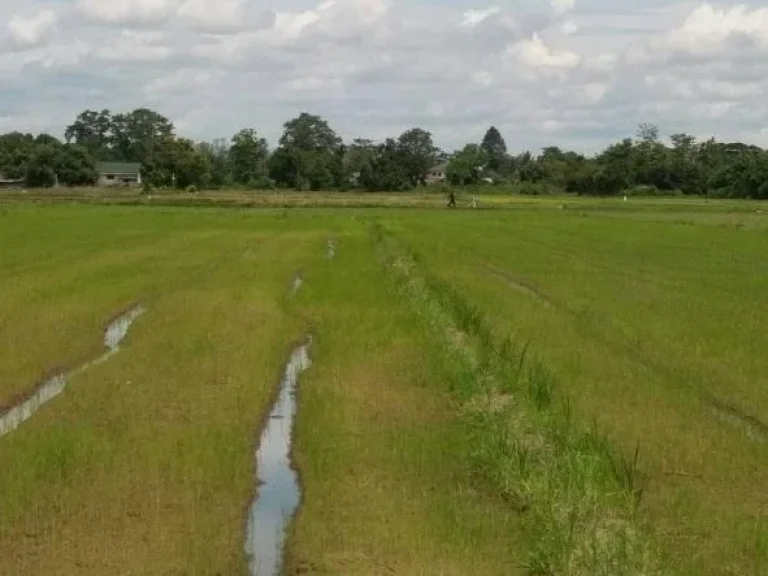 ที่ดิน ใกล้สนามบิน ศูนย์ราชการ โฉนด มีถนนผ่าน ขายด่วน ลด ไร่ละ 6 แสน