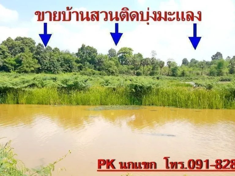 PK ขายถูกบ้านสวนรืมน้ำบุ่งมะแลง อสว่างวีระวงศ์ จอุบลราชธานี