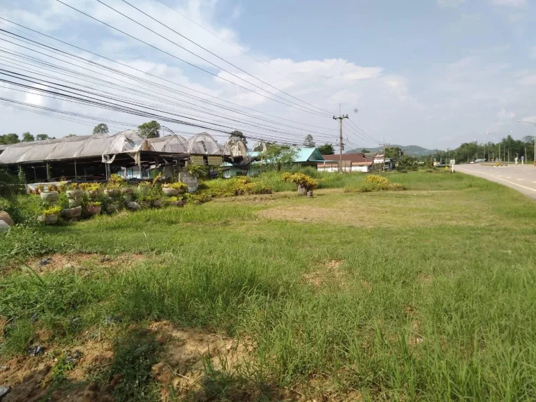 ที่ดินสวยมาก3ไร่ติดถนนทางหลวงเขตเทศบาลภูเรือโฉนดพร้อมโอน