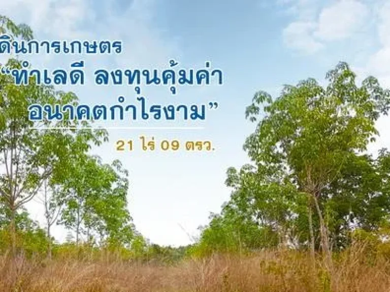 ที่ดินการเกษตร ทำเลงาม ลงทุนคุ้มค่า ราคาเติบโต