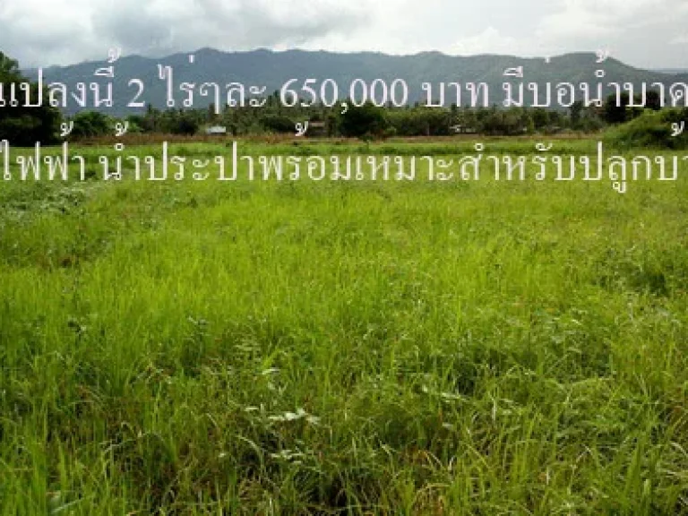 ขายที่ 2 ไร่ ในตัวเมือง