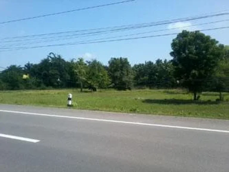 ขายที่ตรงข้ามหมู่บ้านสุขเกษมโรงโม่หินราช เมืองบุรีรัมย์